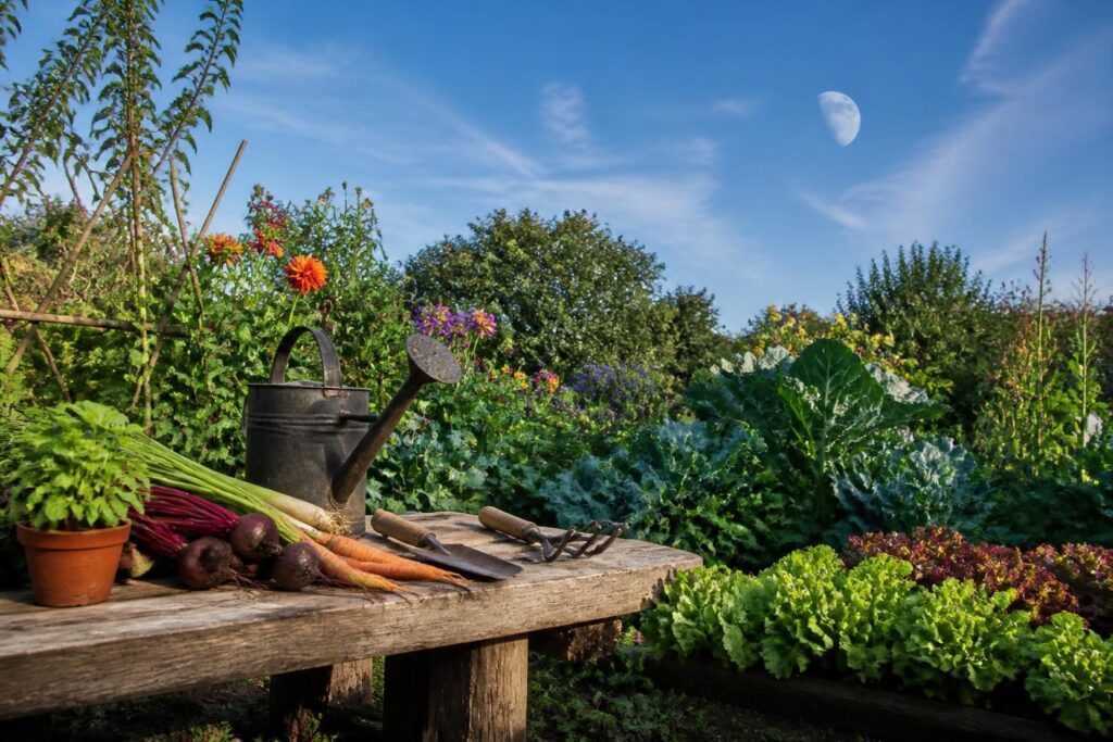 découvrez comment la phase de la lune aujourd'hui influence vos plantations et vos travaux de jardinage pour optimiser la croissance de vos plantes.